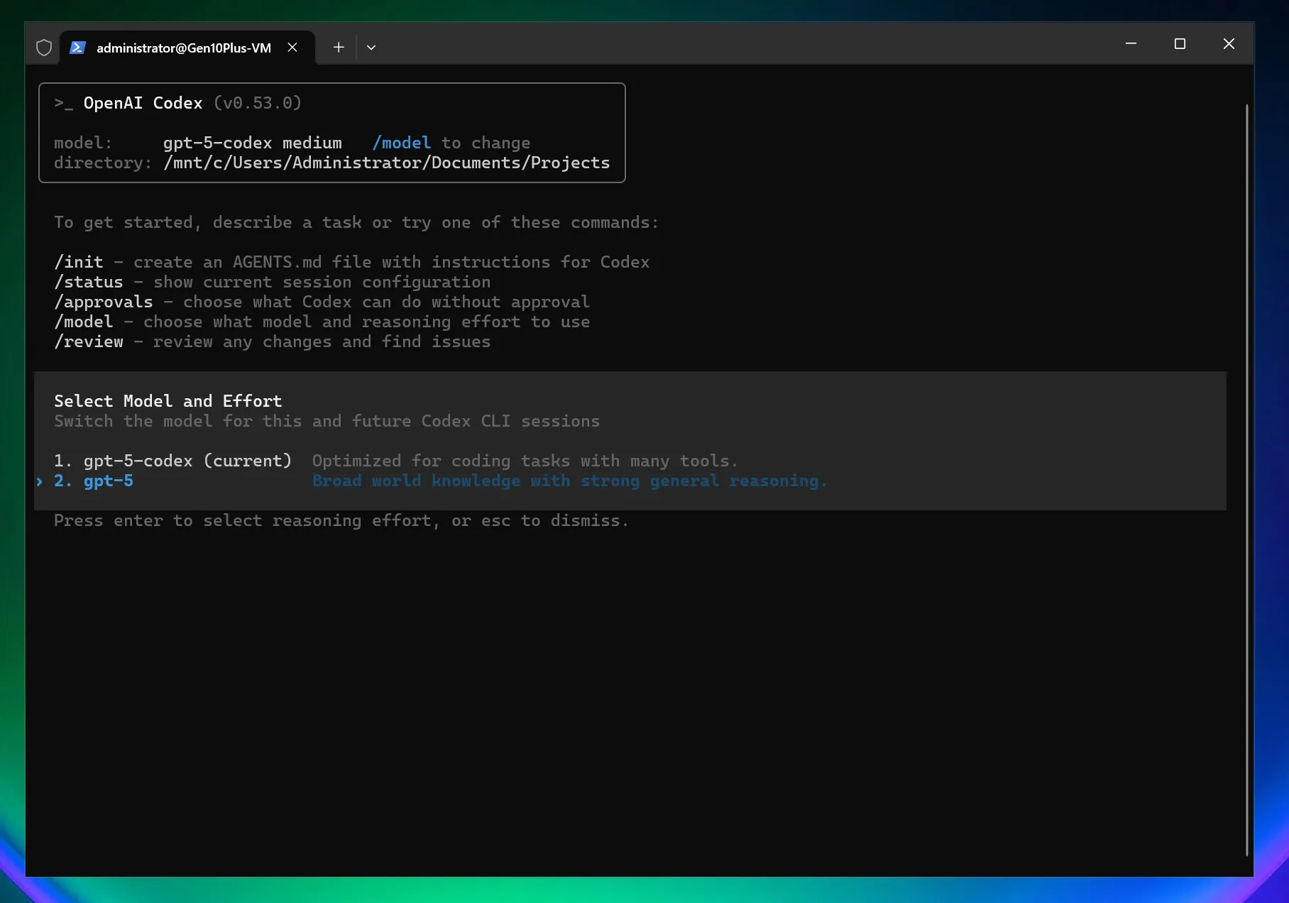 OpenAI Codex CLI | New API